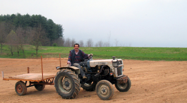 Abtransport der Steine aus dem Rebberg